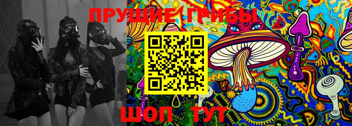 Псилоцибиновые грибы MAGIC MUSHROOMS  Вход с VPN  Ивантеевка  Псилоцибиновые грибы мицелий 