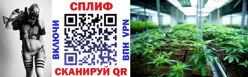 площадка как зайти  Ивантеевка  Шишки марихуана Ganja 